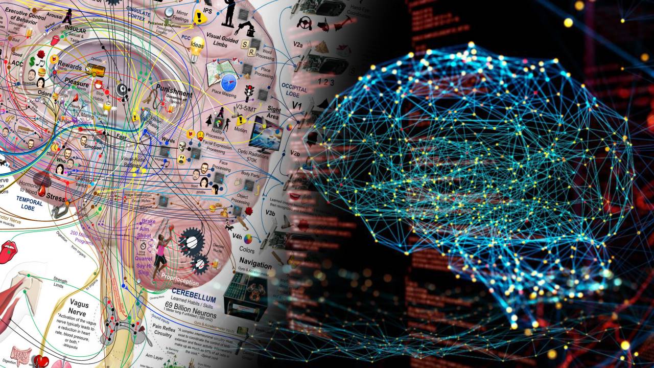 O hartă revoluționară a creierului uman: intersecția dintre neuroștiință și inginerie
