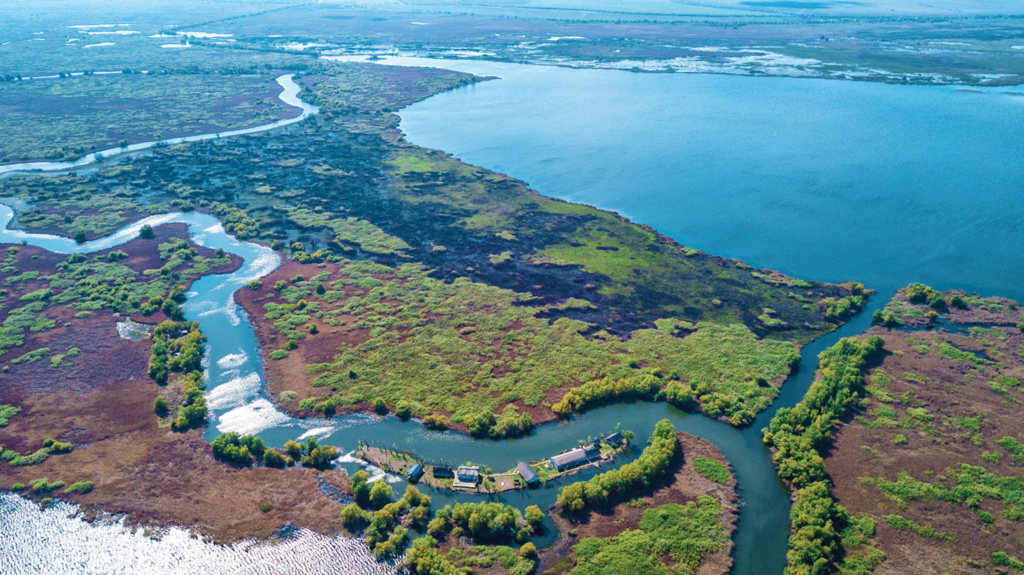 O insula de 6 km patrati din Delta Dunarii se vinde cu 350.000 de euro