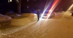 O maşină sculptată în zăpadă i-a indus în eroare pe poliţişti