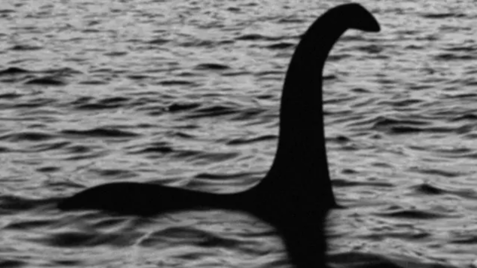 O nouă apariție a monstrului din Loch Ness reaprinde curiozitatea turiștilor. Văzut pentru a cincea oară anul acesta
