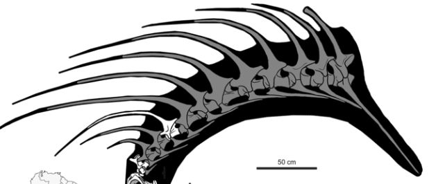 O noua specie de dinozaur a fost descoperita in Patagonia. Avea o creasta cu totul speciala