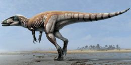 O specie necunoscută de dinozaur carnivor a fost descoperită în Argentina