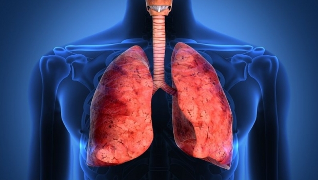 Operatiile de transplant pulmonar au fost deblocate de Ministerul Sănătăţii