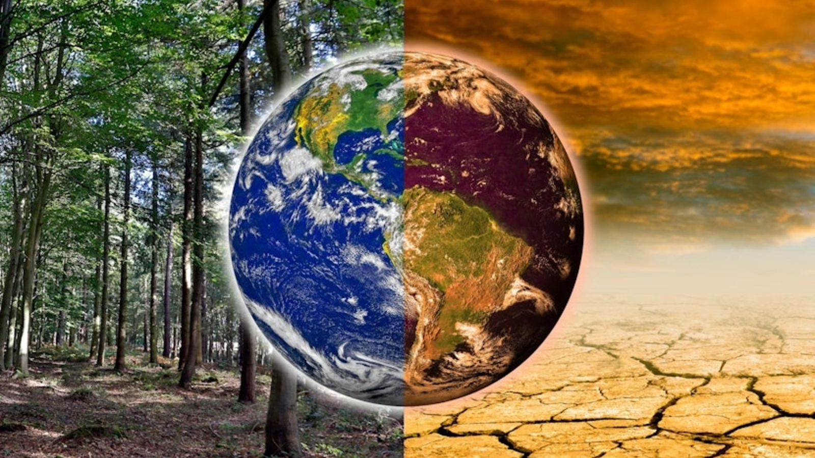 Pământul intră într-o zonă periculoasă: "Toți indicatorii sunt pe roșu. Ce urmează pentru planeta care nu mai răcește"