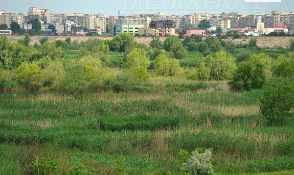 Parcul Natural Delta Văcăreşti, declarat arie protejată, fără administrator