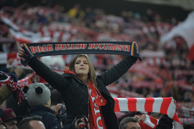 Percheziţii in legătură cu insolvenţa clubului Dinamo la cabinete de avocatură