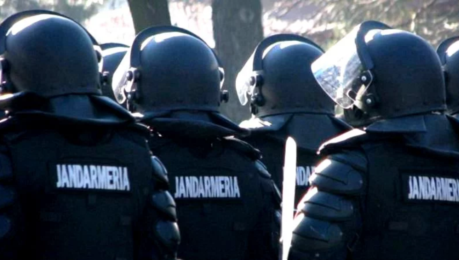 Percheziții la mafia peștelui din România, Italia, Spania, Franţa şi Ungaria. S-a descins la peste 150 de locuințe