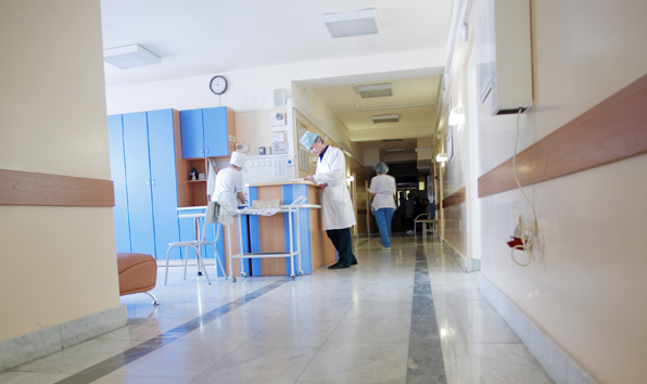 Peste două sute de persoane muşcate de căpuşe. Într-un caz s-a diagnosticat boala Lyme