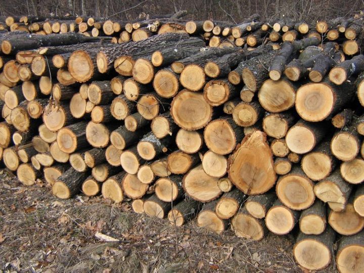 Prețul lemnului de foc „arde