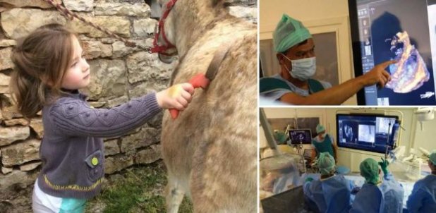 Premieră în medicina mondială! Operații pe cord închis, grație unei tehnologii 3D