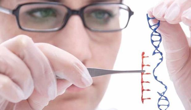 Premiera in Marea Britanie: O cercetatoare a primit dreptul de a modifica genetic embrioni umani