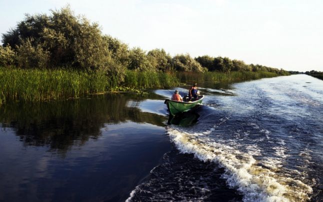 Premierul Tudose a scos Delta Dunării la mezat, iar Busoioc-ul lui Dragnea este noul vătaf al rezervației