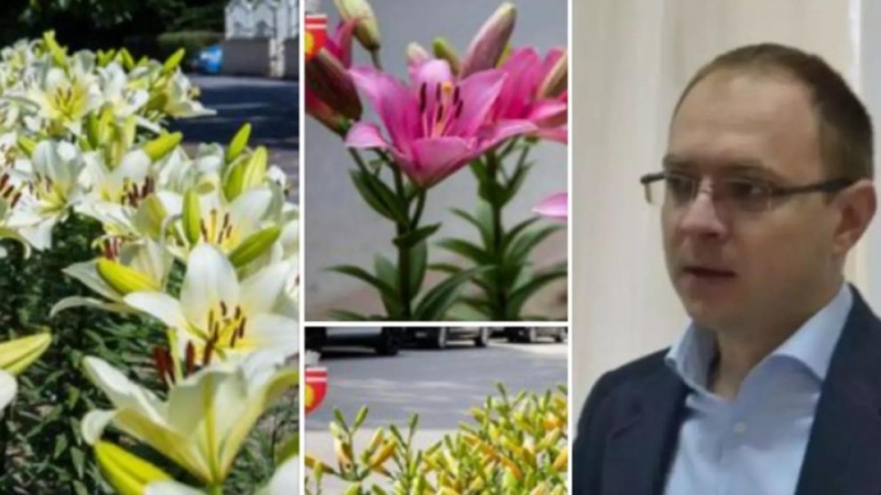 Primarul îndrăgostit a umplut orașul cu florile preferate ale amantei pentru care a devalizat bugetul local
