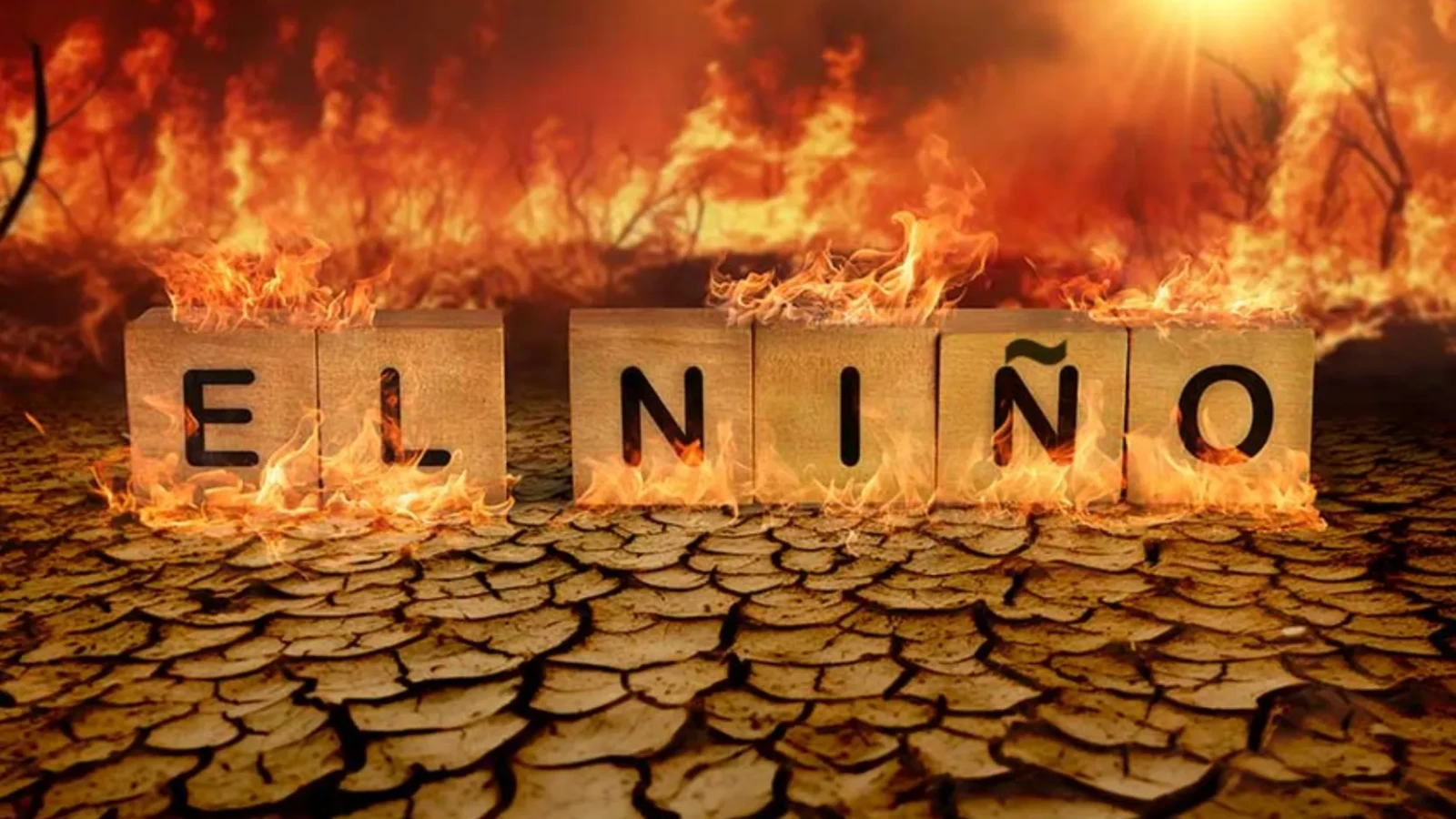 Primele două țări care declară "alertă roșie" din cauza Super El Nino: Situația a devenit extrem de gravă, iar seceta afectează culturile la un nivel fără precedent