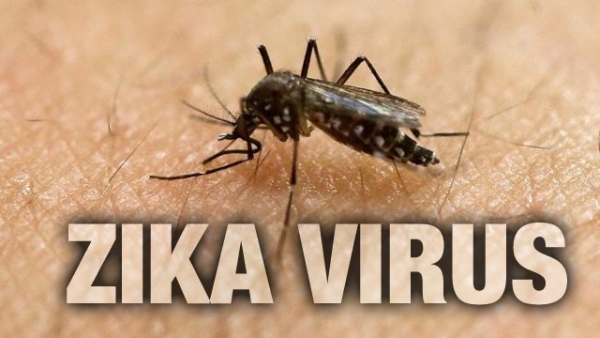 Primul caz de microencefalie asociat cu virusul Zika, înregistrat în Spania