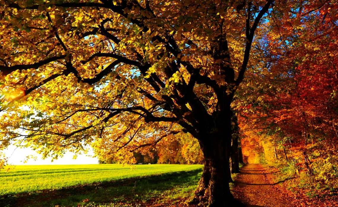 Prognoza meteo 18 septembrie: Temperaturi ridicate pentru această perioadă