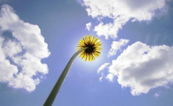 Prognoza meteo pentru vineri, 4 mai: Ultima zi frumoasa din saptamana