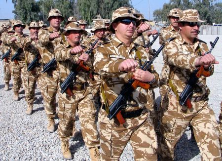 Proiect de lege: 6 luni de zile stagiu militar voluntar pentru bărbaţi şi femei