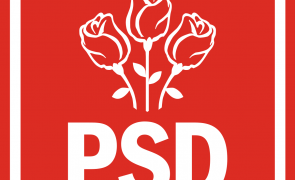 PSD nu se va opune referendumului pe justiție