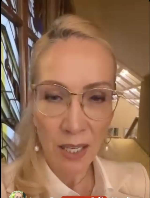 Ramona-Ioana Bruynseels la Adunarea Parlamentară a NATO de la Vilnius: România trebuie să invoce articolul 4 din Tratatul Atlanticului de Nord
