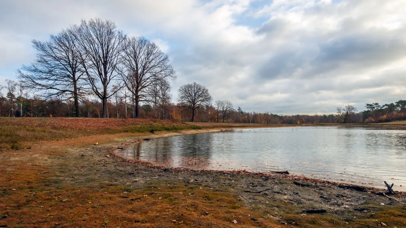 Raport al Băncii Mondiale: Continentele pierd apă dulce într-un ritm alarmant, echivalent cu patru bazine olimpice pe secundă