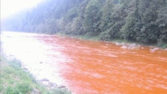 Raul Bistrita s-a facut ca sangele de la peste un milion de litri de substante toxice