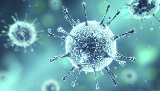 Risc maxim! Un virus periculos a ajuns in Europa