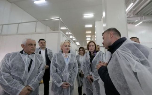 România trebuie să returneze Comisiei Europene banii cheltuiţi cu Bursa de peşte inaugurată de Petre Daea