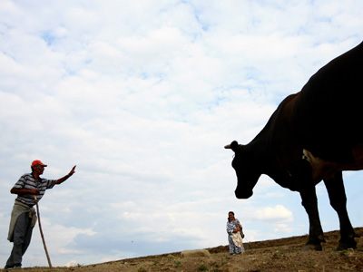 Românii din mediul rural câştigă cu 25% mai puţin decât cei din mediul urban