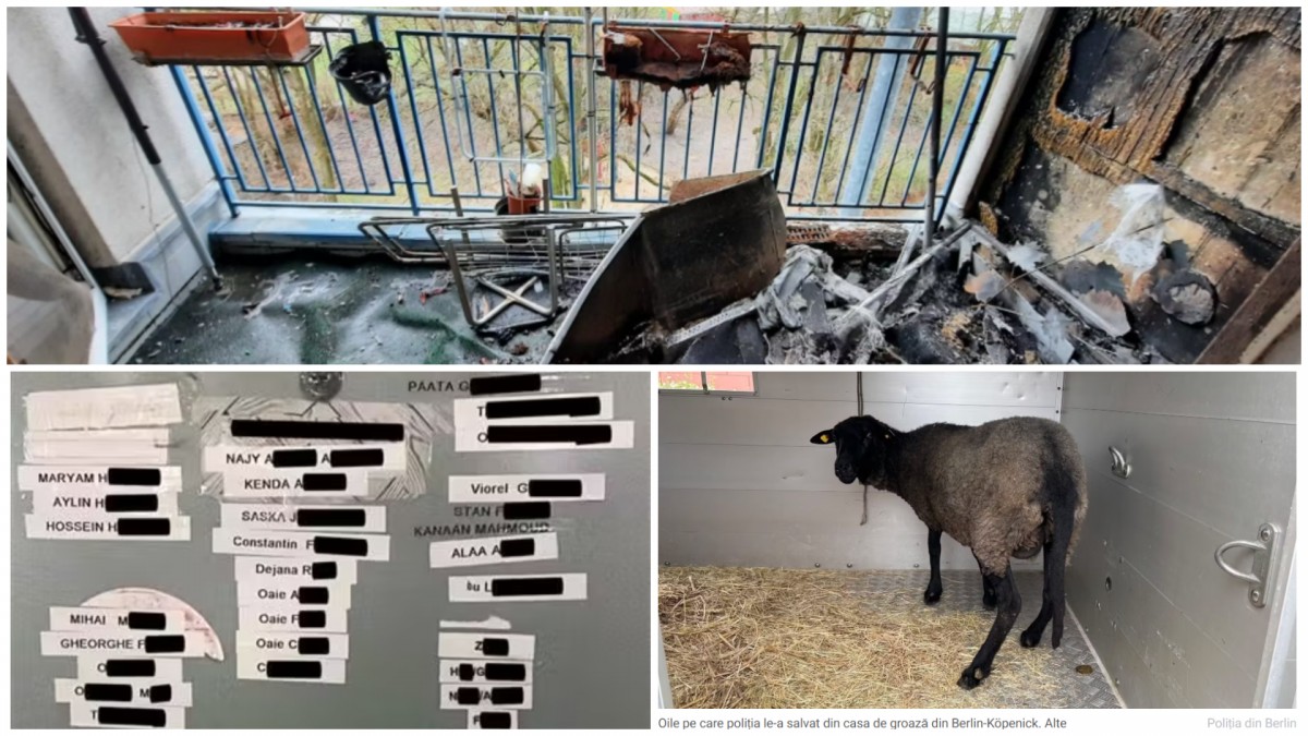 Românul care a îngrozit Berlinul: Polițiștii au spart ușa casei ororilor și au înghețat când au văzut sângele și cadavrele