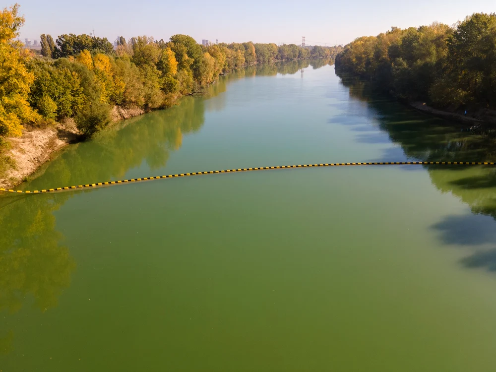 Satul unde o nuntă întreagă a dispărut în apele Siretului. Gheața s-a rupt sub săniile pline cu nuntași și doar mirele a scăpat
