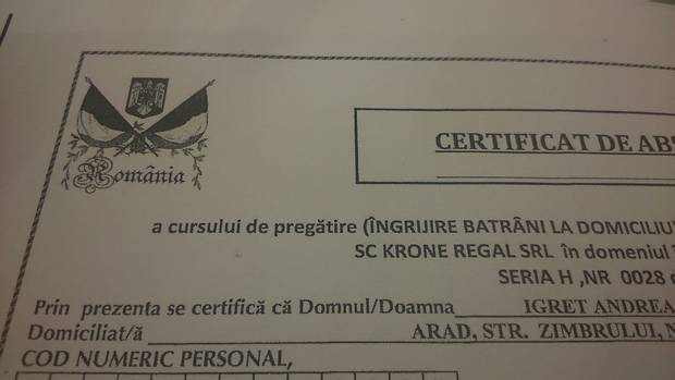 Scandal despre ingrijitoare in Austria: Diplome false și