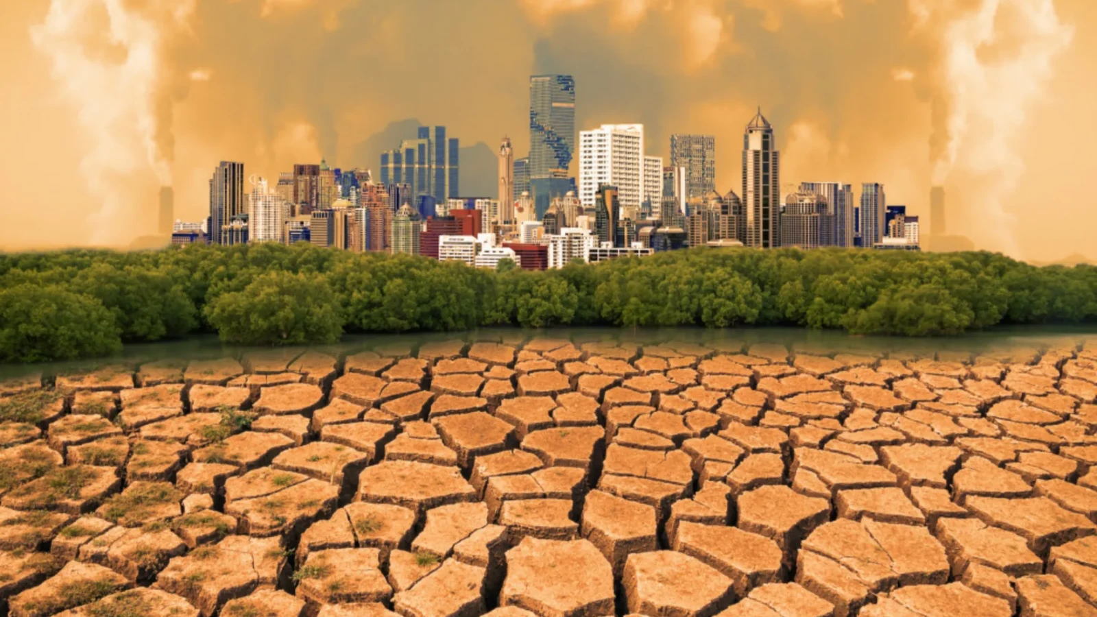 Schimbările climatice ar putea fi declarate „urgență sanitară mondială": Trei milioane de morți din cauza caniculei. Cercetătorii cer intervenția guvernelor
