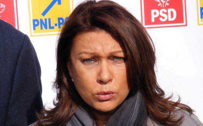 Senatoarea PNL Doina Tudor, audiată la DNA