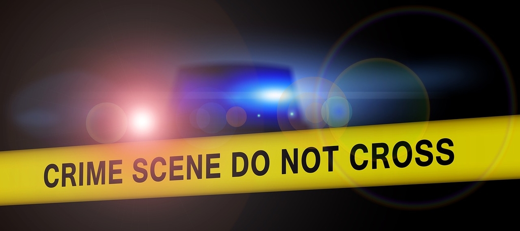 Serbia a schimbat legea in urma unor crime similare cu cele din Caracal