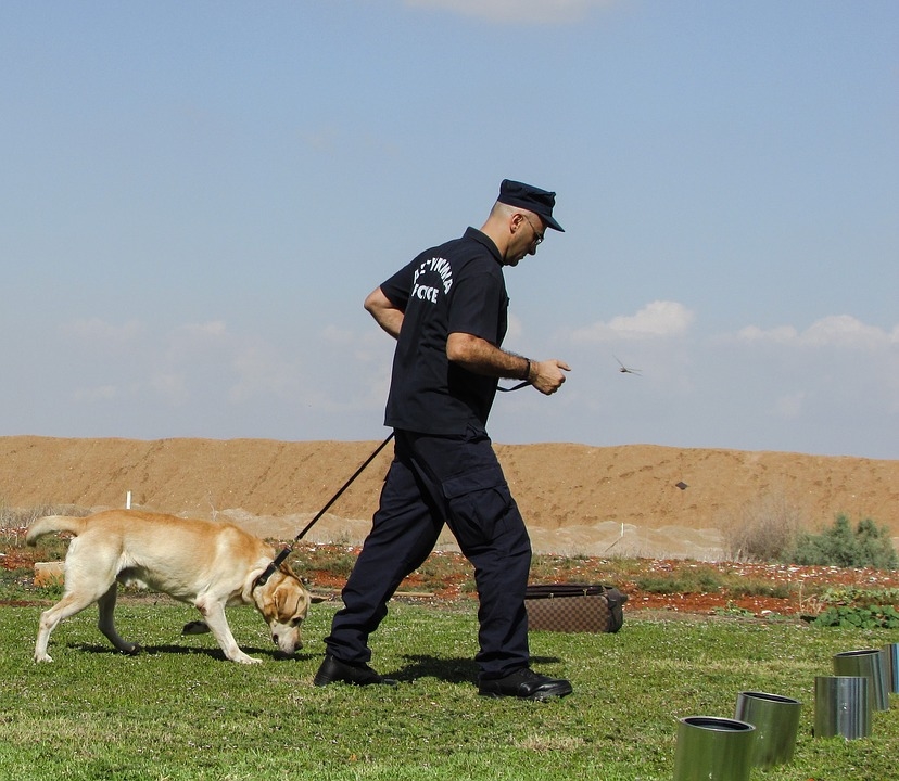 Sherlock Holmes al cainilor politisti din China a fost clonat