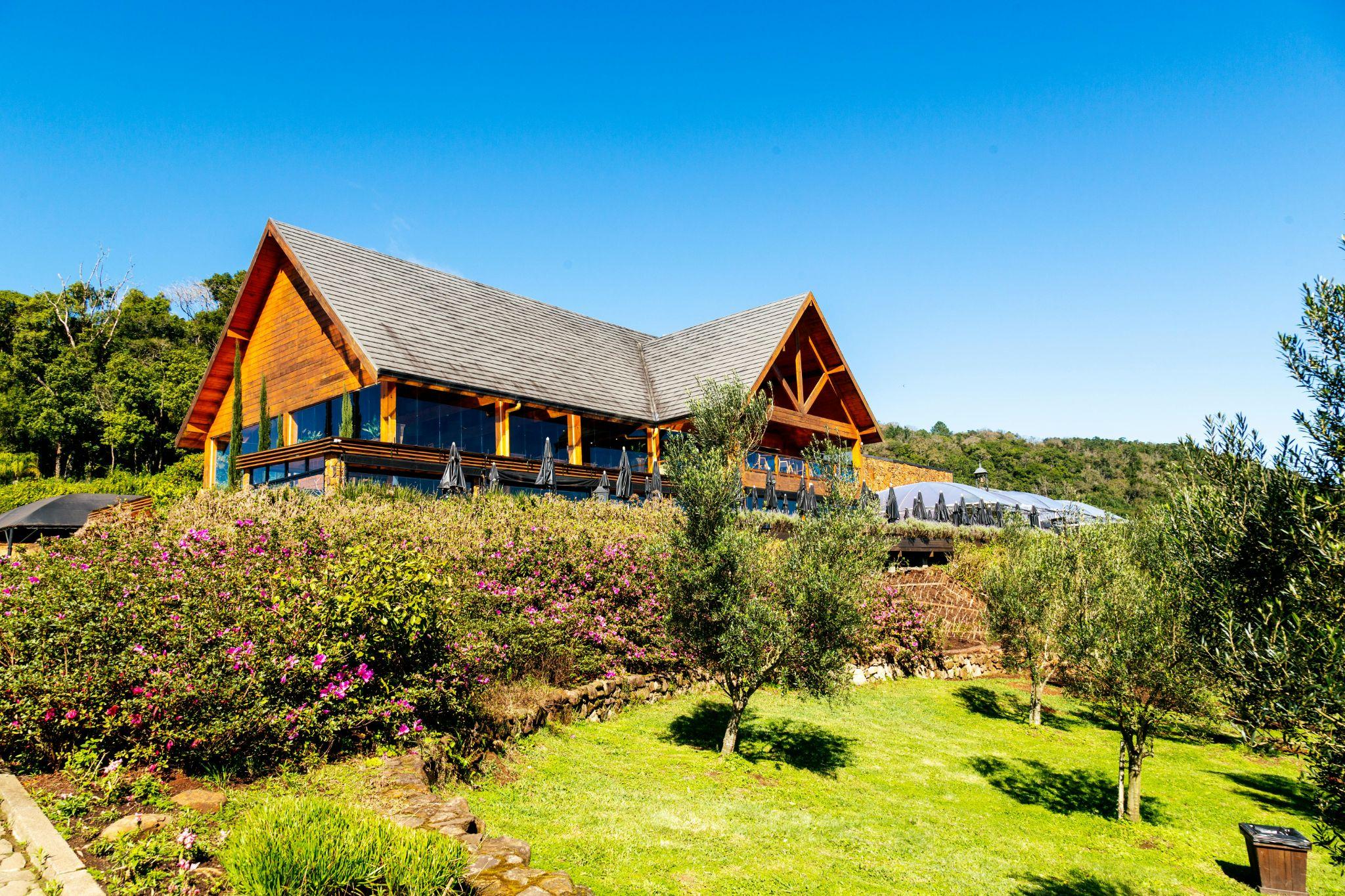 Soluții pentru grădini cu teren accidentat: de ce motocoasa de umăr este mai eficientă decât mașina de tuns iarba

