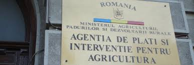 Sprijin financiar - Bani de la Guvern pentru producătorii de legume și fructe