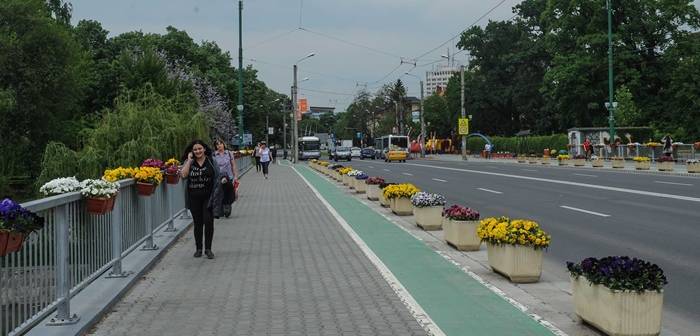 Studenta violata sub Podul Michelangelo din Timisoara