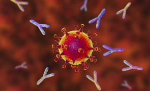 Studiu esential cu privire la COVID-19 pentru noile vaccinuri: Cum răspund celulele 