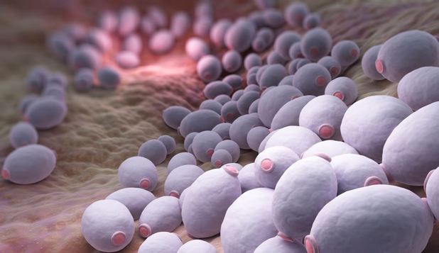 Superbacteria letală care a început să se răspândească în întreaga lume alertează specialiştii