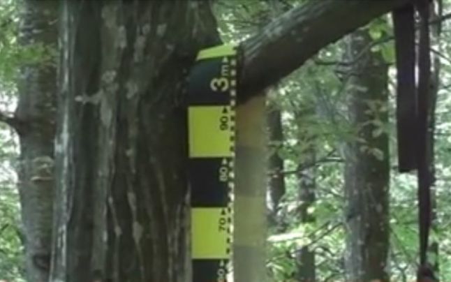 Tânăr de 16 ani găsit spânzurat în pădurea din spatele casei