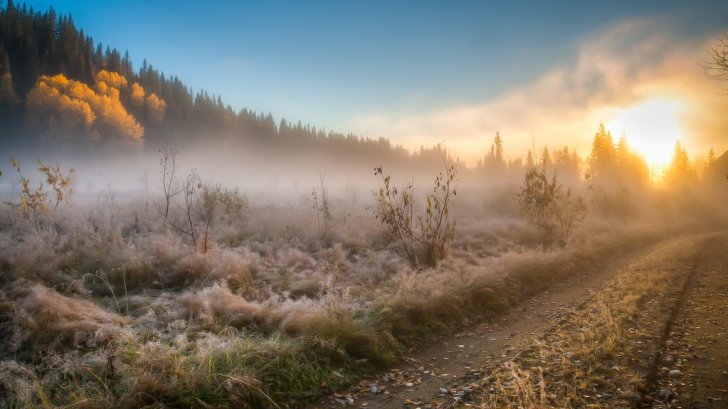 Temperaturile scad serios în România. O masă de aer arctic se instalează în Europa