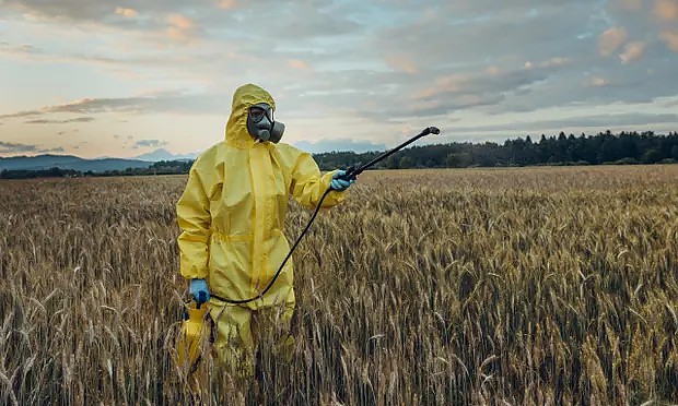 The Guardian: Producătorii de pesticide au ascuns de autoritățile europene studiile privind toxicitatea pentru creier

