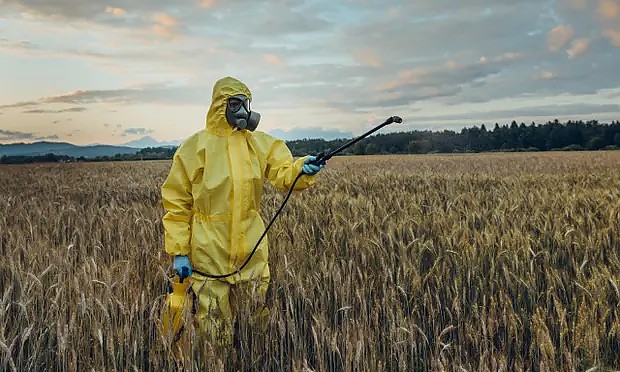 The Guardian: Producătorii de pesticide au ascuns de autoritățile europene studiile privind toxicitatea pentru creier