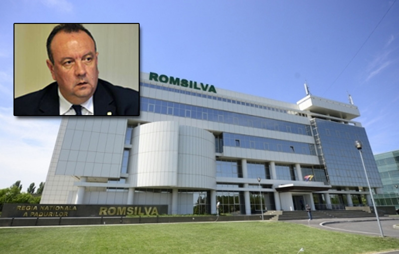 Toți banii Romsilva sunt rulați prin PFA-ul directoarei economice