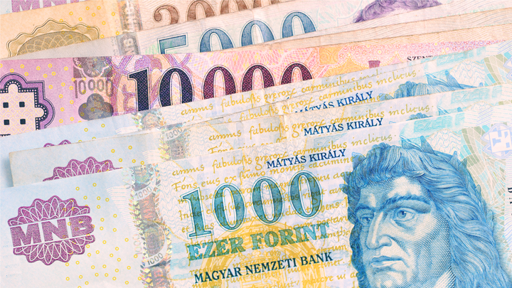 Toți pensionarii maghiari vor primi o primă de pensie de 1.100 lei! Românii de ce nu?!