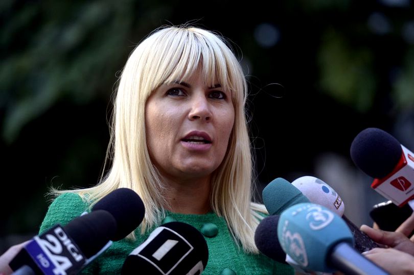 Tudorel Toader a anunțat că a semnat documentele pentru eliberarea Elenei Udrea