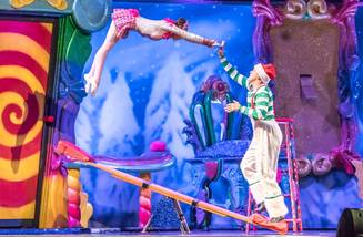 Un acrobat de la Cirque du Soleil a murit in timpul unui spectacol