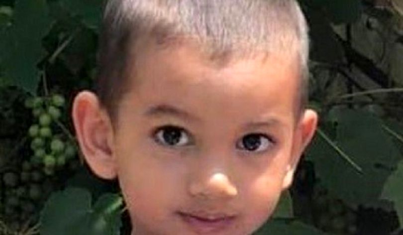 Un băiat de 3 ani este dat în urmărire națională. A fost luat de acasă